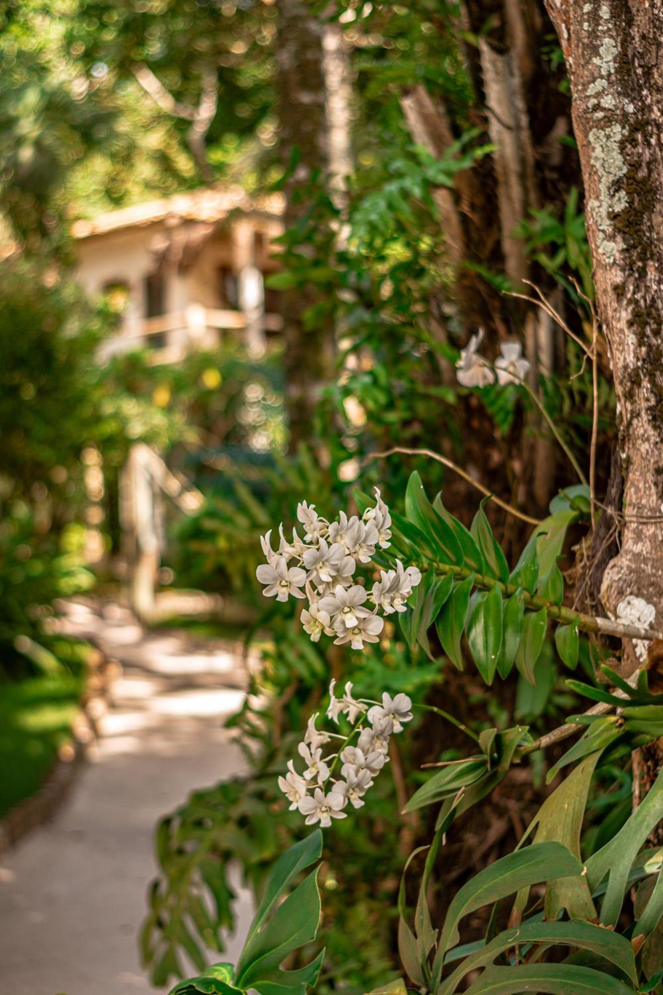 Hotel Boutique Bahia Bonita Trancoso Exteriér fotografie